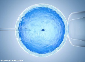 关于助孕包生男孩服务